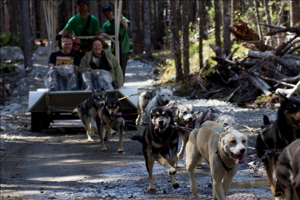 SKG-377 – Skagway Sled Dog & Mushers Camp | Alaska Best Tours